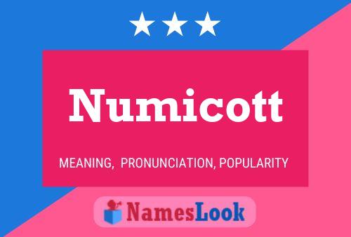 Pôster do nome Numicott