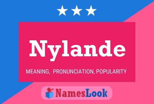 Pôster do nome Nylande