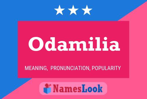 Pôster do nome Odamilia