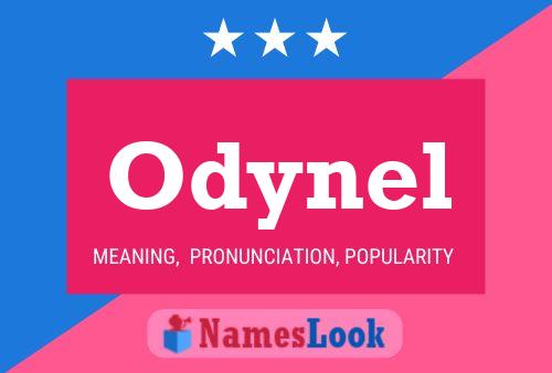 Pôster do nome Odynel