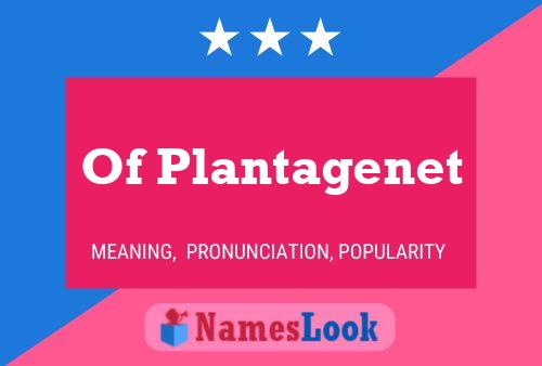 Pôster do nome Of Plantagenet