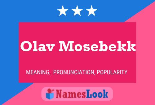 Pôster do nome Olav Mosebekk