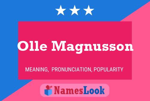 Pôster do nome Olle Magnusson