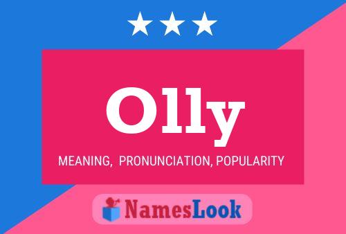 Pôster do nome Olly