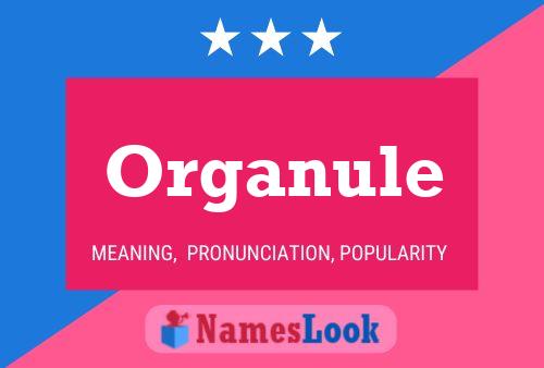 Pôster do nome Organule