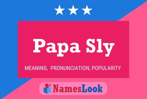 Pôster do nome Papa Sly