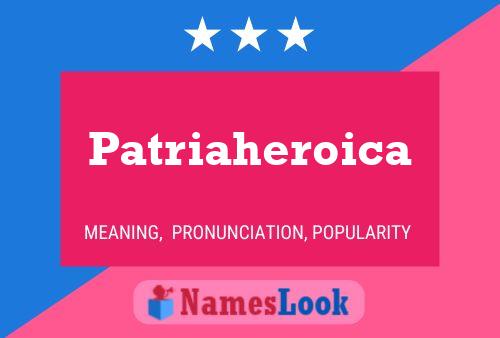 Pôster do nome Patriaheroica