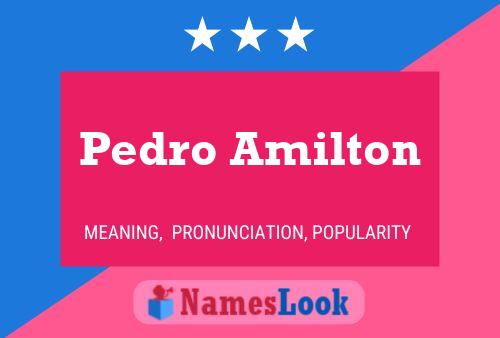 Pôster do nome Pedro Amilton