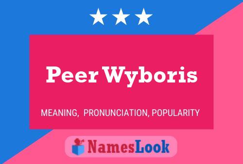 Pôster do nome Peer Wyboris