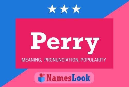 Pôster do nome Perry