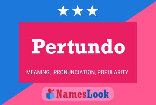 Pôster do nome Pertundo