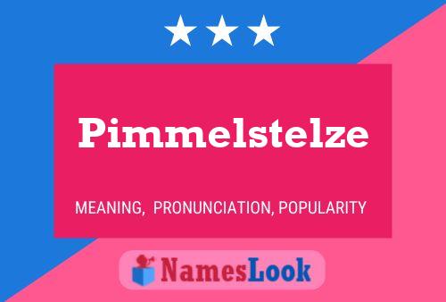 Pôster do nome Pimmelstelze