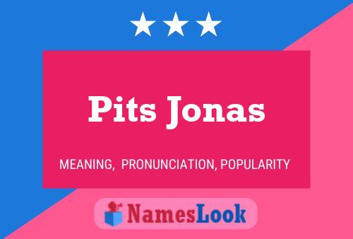 Pôster do nome Pits Jonas