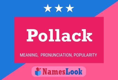 Pôster do nome Pollack