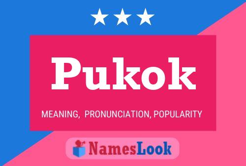 Pôster do nome Pukok