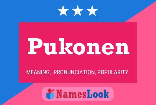 Pôster do nome Pukonen