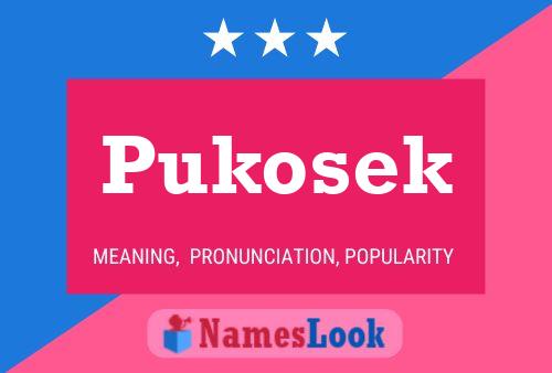 Pôster do nome Pukosek