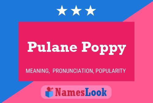 Pôster do nome Pulane Poppy