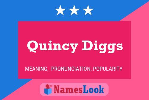 Pôster do nome Quincy Diggs