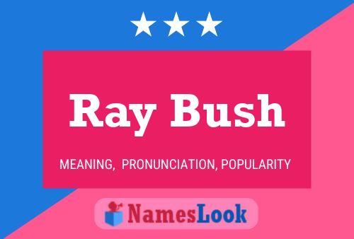 Pôster do nome Ray Bush