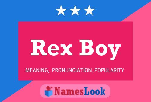 Pôster do nome Rex Boy