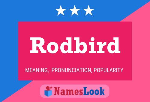 Pôster do nome Rodbird