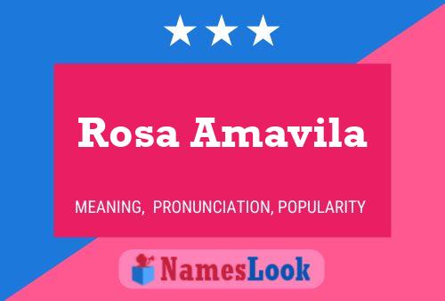 Pôster do nome Rosa Amavila