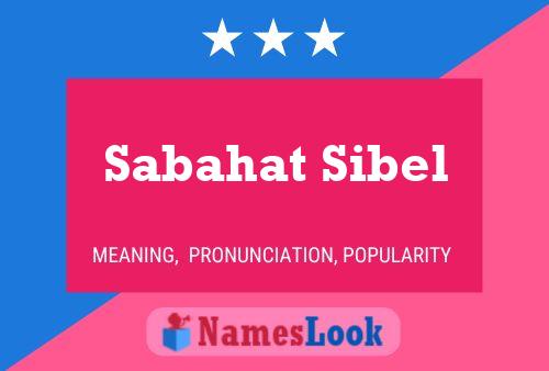 Pôster do nome Sabahat Sibel