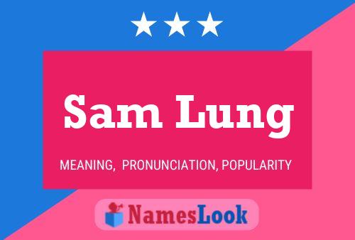 Pôster do nome Sam Lung