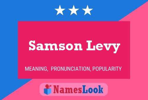 Pôster do nome Samson Levy