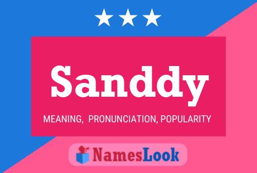 Pôster do nome Sanddy