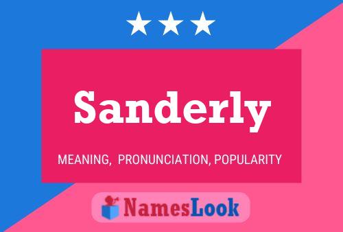 Pôster do nome Sanderly