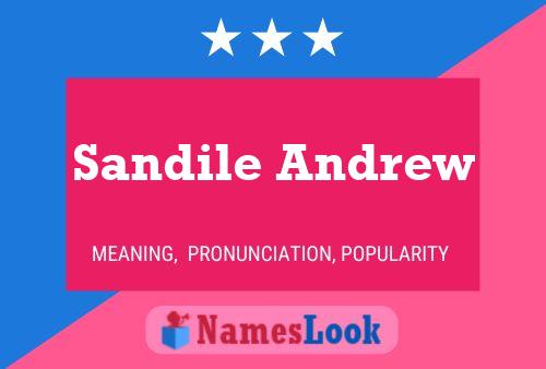 Pôster do nome Sandile Andrew