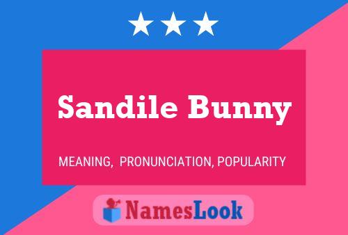 Pôster do nome Sandile Bunny