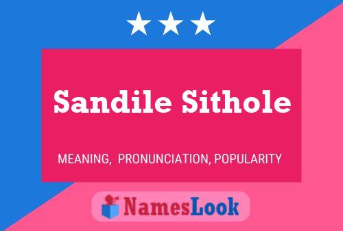 Pôster do nome Sandile Sithole