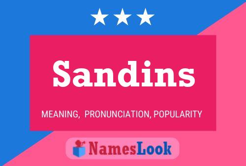 Pôster do nome Sandins