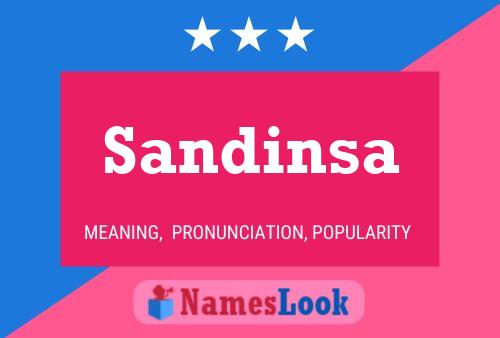 Pôster do nome Sandinsa