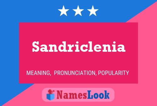 Pôster do nome Sandriclenia