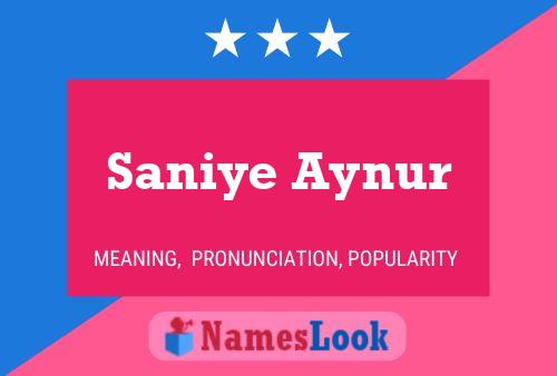 Pôster do nome Saniye Aynur