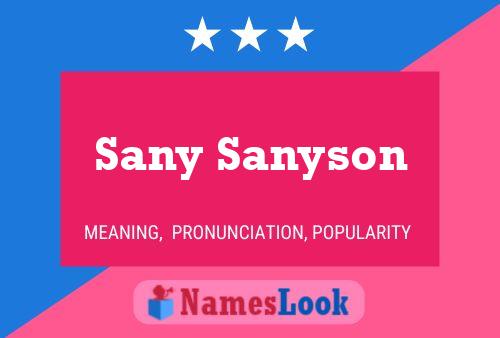 Pôster do nome Sany Sanyson