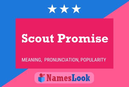 Pôster do nome Scout Promise