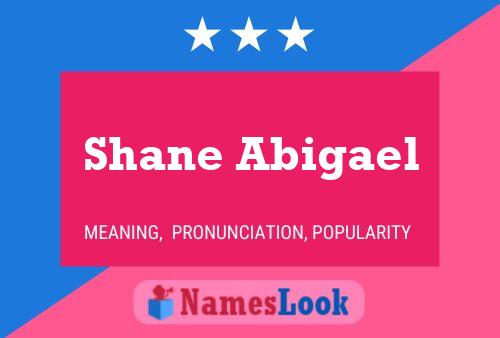 Pôster do nome Shane Abigael