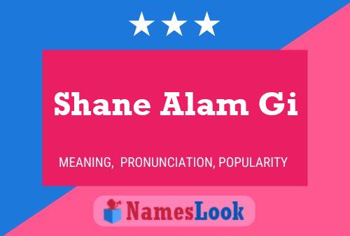 Pôster do nome Shane Alam Gi