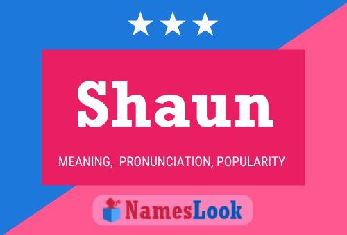 Pôster do nome Shaun