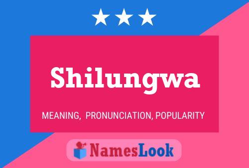 Pôster do nome Shilungwa