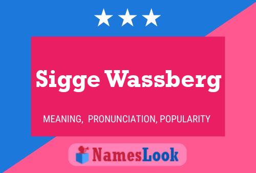 Pôster do nome Sigge Wassberg