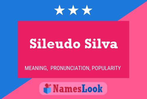 Pôster do nome Sileudo Silva