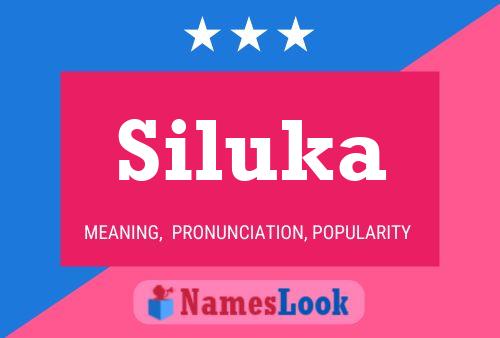 Pôster do nome Siluka