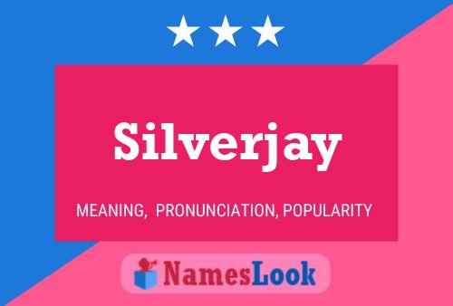 Pôster do nome Silverjay