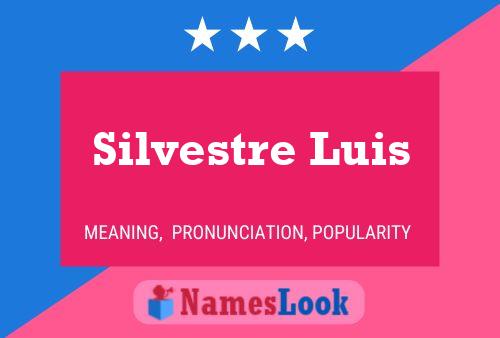 Pôster do nome Silvestre Luis